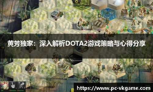 黄芳独家：深入解析DOTA2游戏策略与心得分享